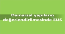 Damarsal Yapıların Değerlendirilmesinde Endoskopik Ultrasonografi